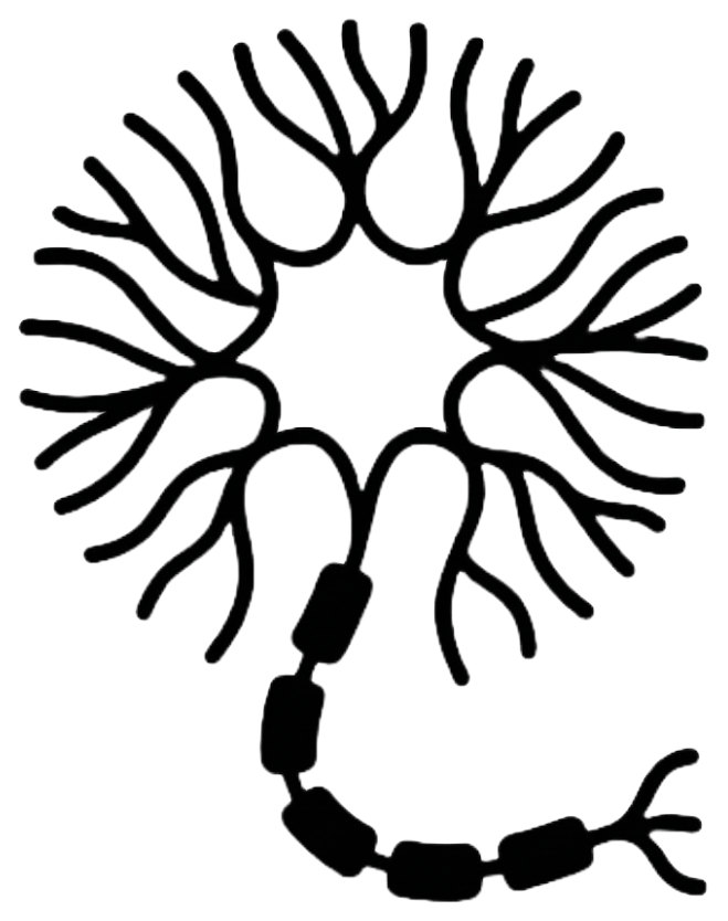 RecallOn Logo Light